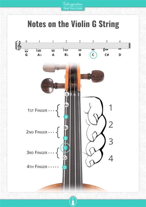 Reading Violin Notes For Beginners