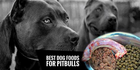 Dog Food To Make Pitbulls Big OFF-69% Shipping Free, 44% OFF