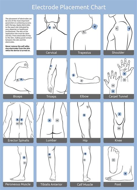 9 best TENS Machine images on Pinterest | Fibromyalgia, Physical therapy and Tens unit placement