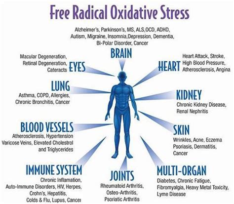 Oxidative Stress - Causes & Symptoms of Oxidative Stress