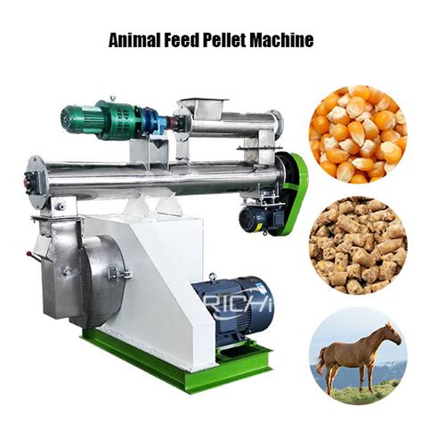 Animal Feed Pellet Machine - pellet-richi.com