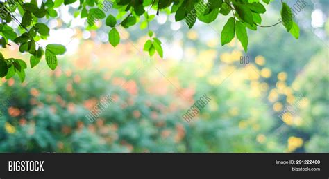 Nature Background, Image & Photo (Free Trial) | Bigstock