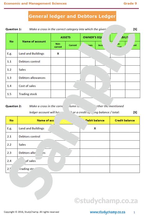 Grade 9 EMS Test: Debtors Ledger and General Ledger