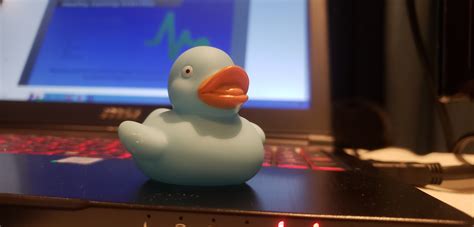 Rubber Duck Debugging: History and Benefits