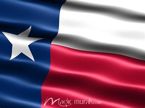 Texas Flag Wallpaper Wall Mural by Magic Murals