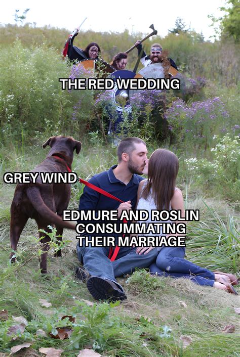 It's a nice day for a Red Wedding : r/memes