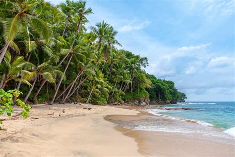 Half of the World’s Sandy Beaches Could Disappear by 2100- Study | Earth.Org