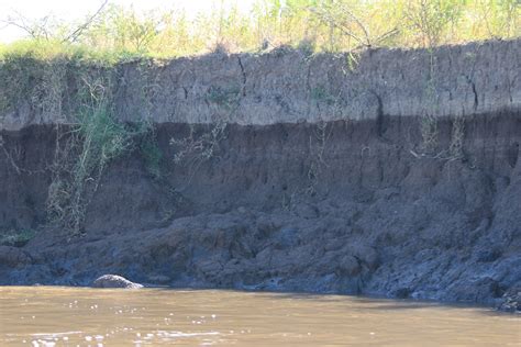 Muddy River Embankment Free Stock Photo - Public Domain Pictures