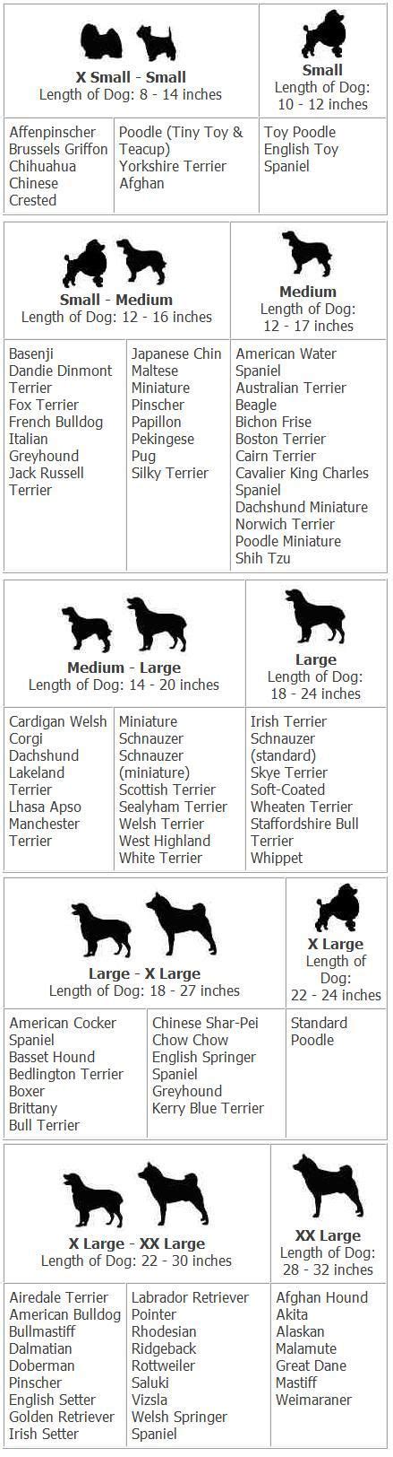 Dog Size Comparison Chart