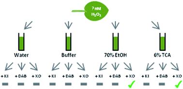 A comparison of colorimetric assays detecting hydrogen peroxide in leaf ...