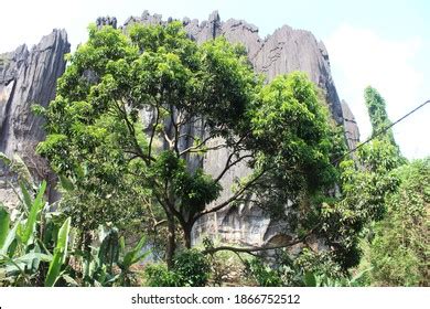 157 Yana Caves Images, Stock Photos, 3D objects, & Vectors | Shutterstock