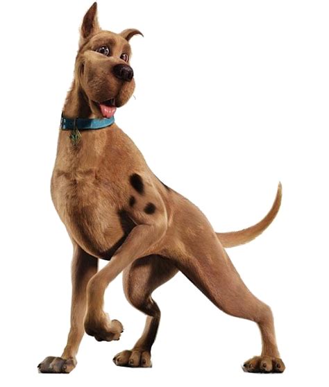 Image - Scooby-Doo (Live-action version).png | The Parody Wiki | FANDOM ...