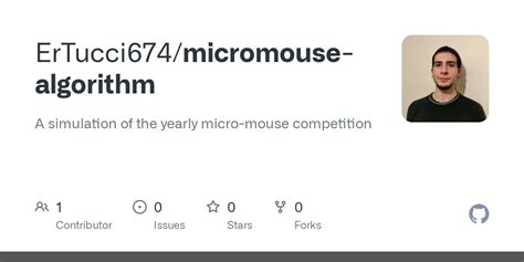 GitHub - ErTucci674/micromouse-algorithm: A simulation of the yearly ...