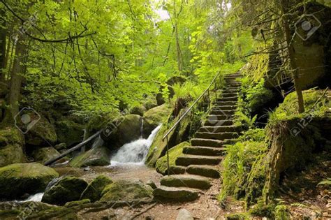 a set of steps leading up to a waterfall in the forest with mossy rocks and trees