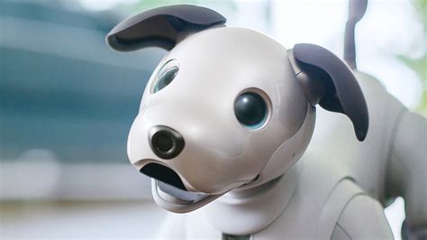 Sony presenta la nueva versión de Aibo, el perro robot | Código Espagueti