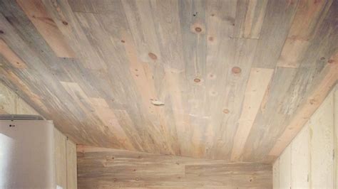 What Is Blue Stain Pine? | Reliance Timber