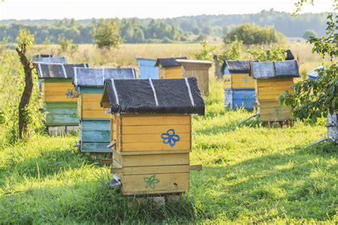 29 Beautiful Backyard Bee Hives - Home Stratosphere