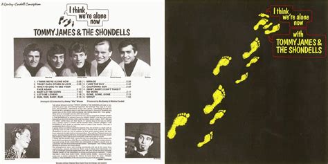 THE PRIMITIVE RHYTHMS OF: Tommy James & The Shondells - I Think We're ...