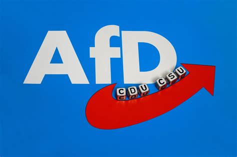 AfD: Umfrage-Hammer! HIER ist Partei stärker als die CDU - DerWesten.de