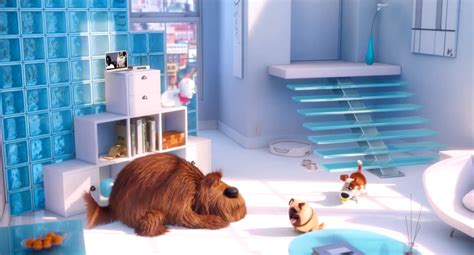 Image - Gidget apartment.png | The Secret Life of Pets Wiki | FANDOM ...