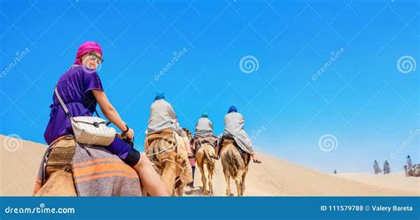 Safari Tourism on Camels. Sahara Desert, Tunisia, North Africa Stock Photo - Image of animal ...