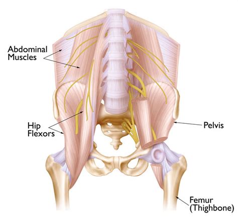 Hip strain: Description, Causes, Treatment | BoulderCentre for Orthopedics & Spine