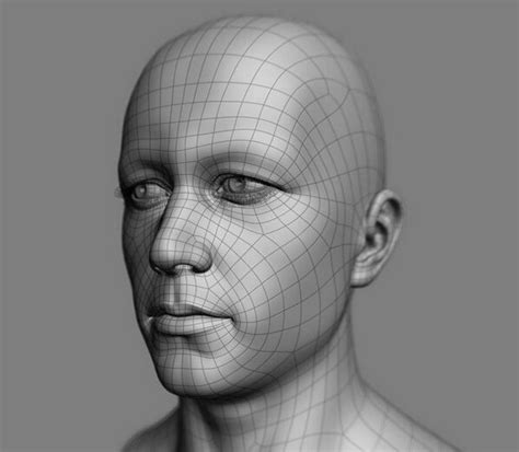 Man Head 3D model Download for Free