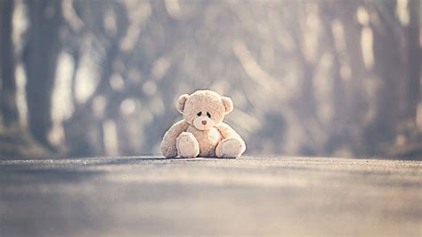 Sad Bear Wallpapers - Top Free Sad Bear Backgrounds - WallpaperAccess