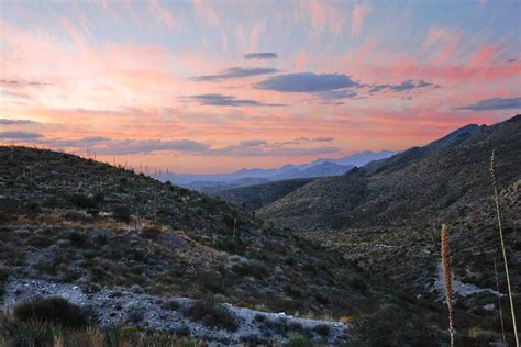 The Ultimate Texas State Park Guide: West Texas Edition | Texas ...