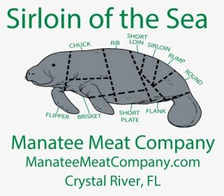 Manatee Meat Company - Sirloin Of The Sea Manatee, HD Png Download ...