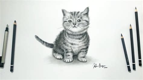 Menggambar sketsa Kucing lucu dengan Pensil / DRAWING KITTENS STEP BY ...