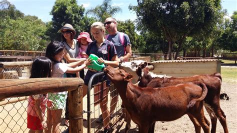 With Kids, We Go...: Western Australia Day 13: Swan Valley Cuddly Animal Farm