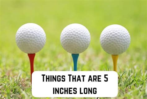 11 Common Things That are 5 Inches Long (With Pictures) | Measuringly