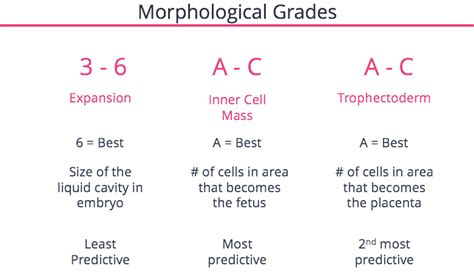 Which Embryo To Transfer? - FertilityIQ