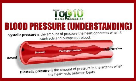 Home Remedies for High Blood Pressure | Top 10 Home Remedies