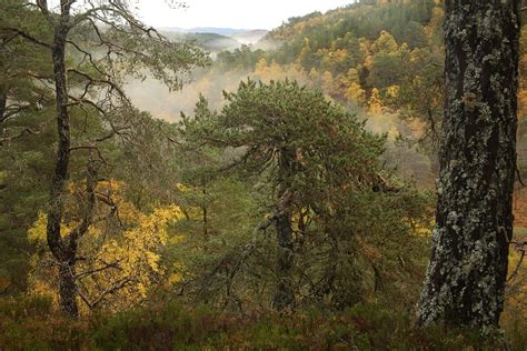 Colourful autumn day in Glen Affric, part 1