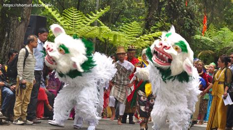 Footprints of Culture: 12 Incredible Tribal & Folk Dances of India