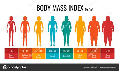 Tabla De Clasificación IMC Medida Mujer Infografía Del
