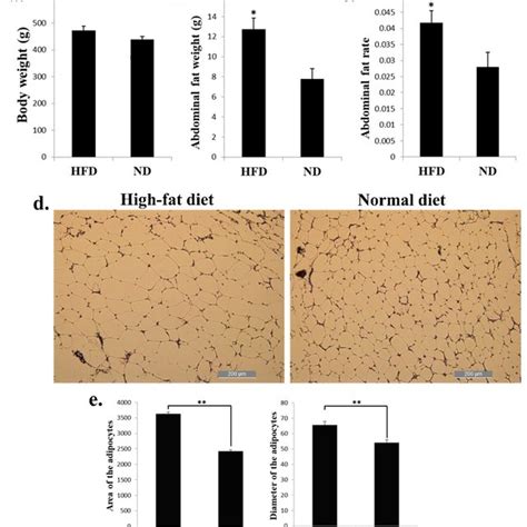 High-fat diet promotes chicken abdominal fat deposition and induces ...