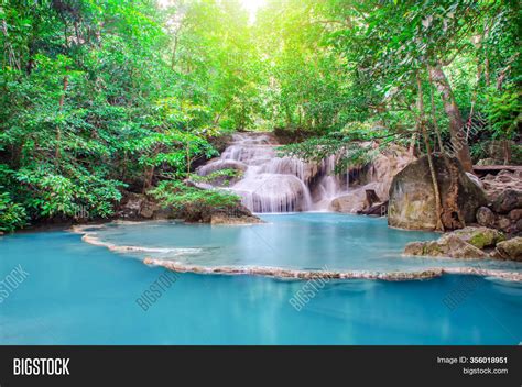 Deep Forest Waterfall Image & Photo (Free Trial) | Bigstock