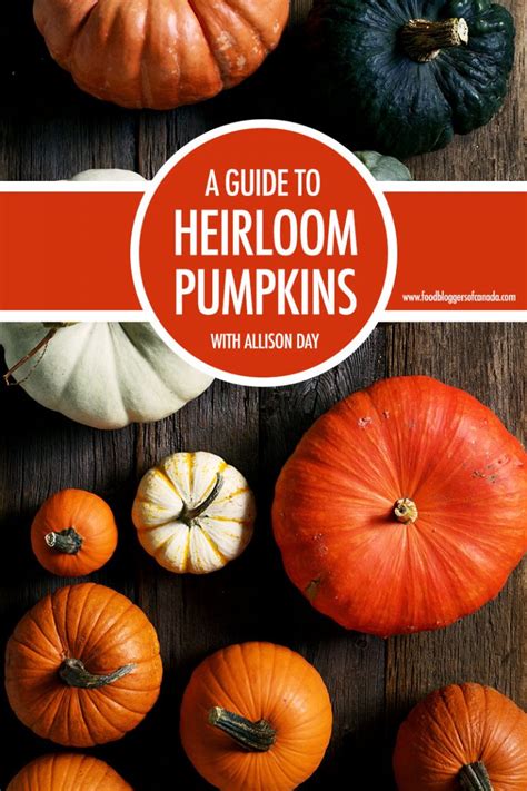 A Culinary Guide to Heirloom Pumpkins | Food Bloggers of Canada