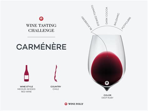 Tasting Challenge: Chilean Carménère | Wine Folly