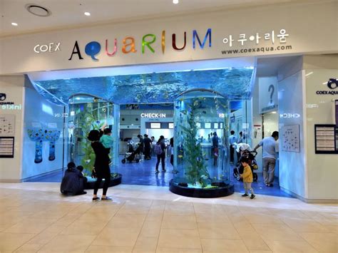 Coex Aquarium в 2024 г