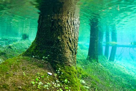 Explore Austria's Underwater Hiking Trails | Smithsonian