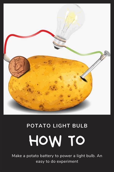 A Guide to the Potato Light Bulb Experiment | 1, 2 Potato | Potato light bulb, Potato battery ...