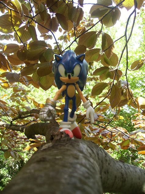 Sonic-Wood Zone by Ad1er on DeviantArt