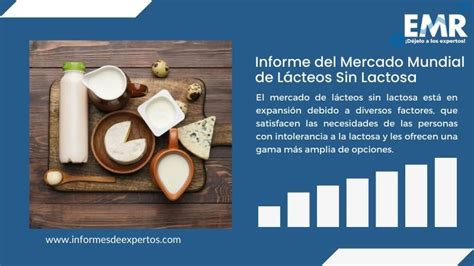 Mercado de Lácteos Sin Lactosa, Informe, Cuota 2024-2032