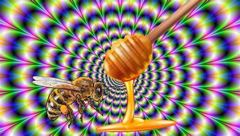 Is Eating Hallucinogenic Himalayan Honey A Good Idea?