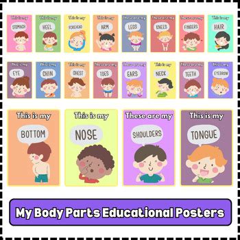 Human's Body Parts Posters Educational Classroom Poster Printable Montessori