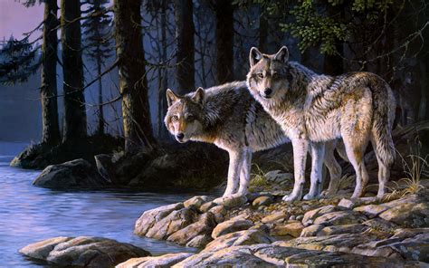 Majestic Wolves - HD Wallpaper
